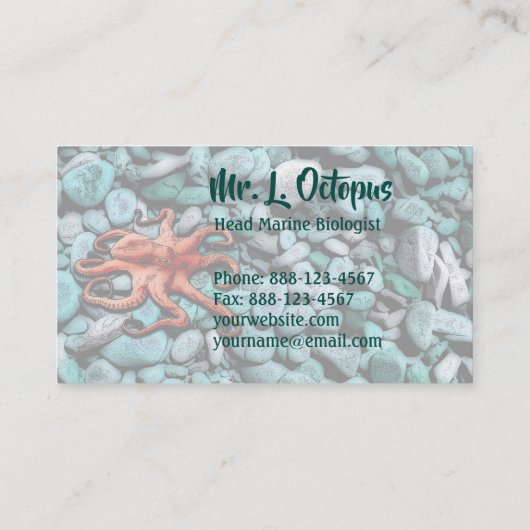 Octopus Pebbles Visitekaartje (Achterkant)