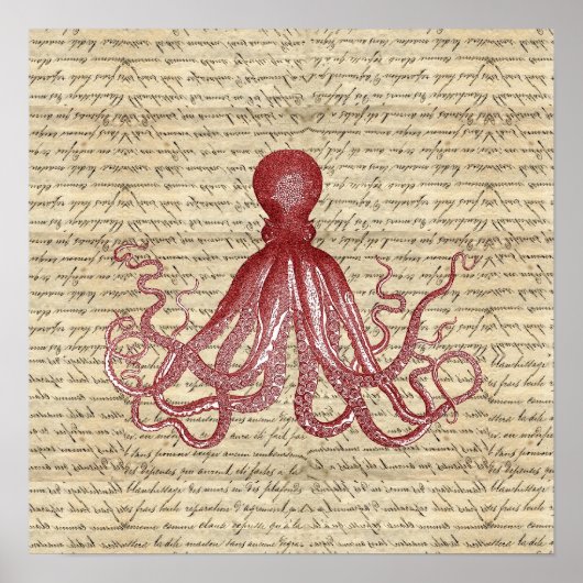  octopus poster (Voorkant)