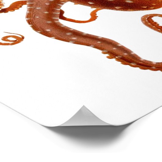  octopus poster (Hoek)