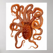  octopus poster (Voorkant)