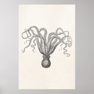  Octopus Poulpe Acht gewapende Cuttle Fish Poster