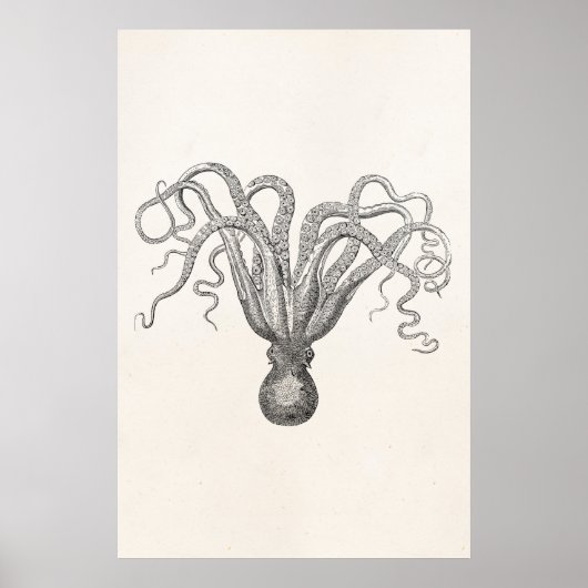 Octopus Poulpe Acht gewapende Cuttle Fish Poster (Voorkant)