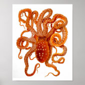 Octopus Print No.6 Cephalopod Zee Creature Art (Voorkant)