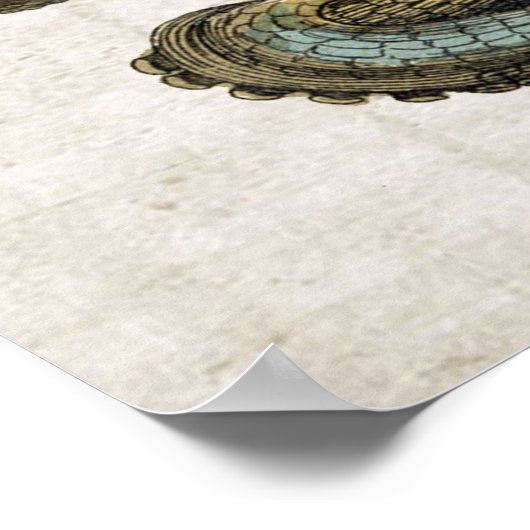  Octopus Print Poster (Hoek)