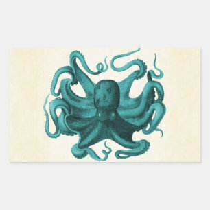  octopus rechthoekige sticker