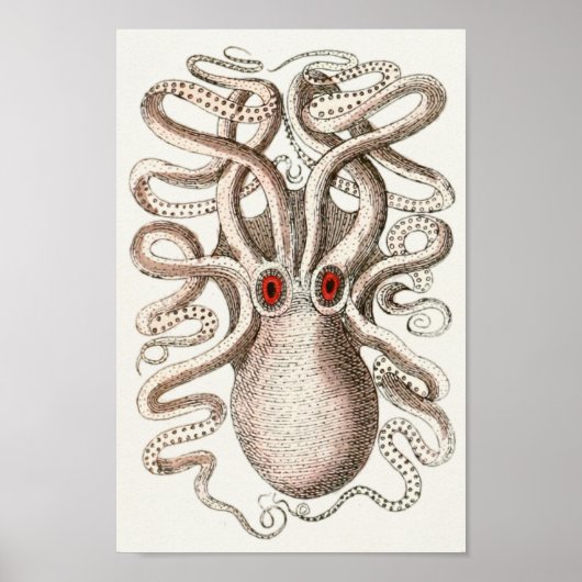 Octopus Red Eye Cephalopod Zee Kunstafdrukken Poster (Voorkant)
