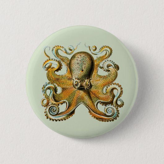 Octopus Ronde Button 5,7 Cm (Voorkant)