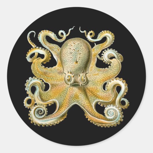 Octopus Ronde Sticker (Voorkant)