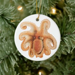 Octopus Salutii, Antieke Mariene Waterdieren Keramisch Ornament