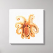 octopus salutii, zeewaterdieren canvas afdruk (Voorkant)