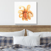 octopus salutii, zeewaterdieren canvas afdruk (Insitu (Slaapkamer))