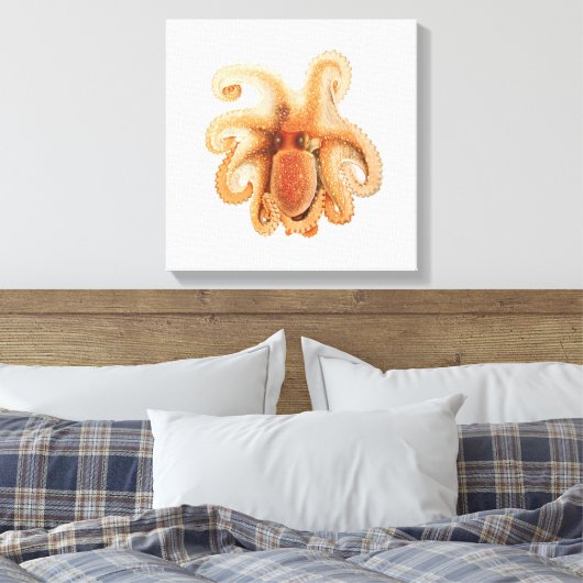  octopus salutii, zeewaterdieren canvas afdruk (Insitu (Slaapkamer))