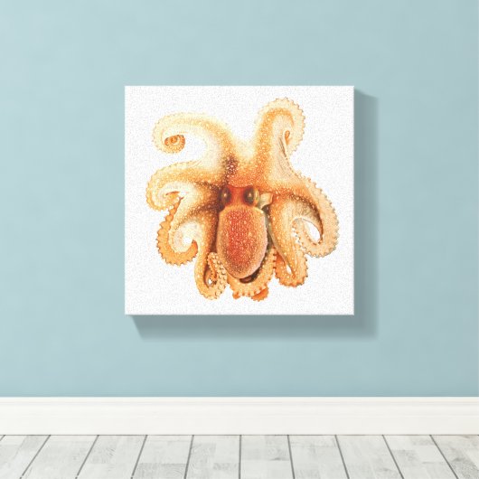  octopus salutii, zeewaterdieren canvas afdruk (Insitu (Houten vloer))