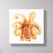  octopus salutii, zeewaterdieren canvas afdruk (Voorkant)