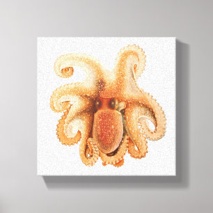  octopus salutii, zeewaterdieren canvas afdruk
