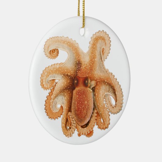  octopus salutii, zeewaterdieren keramisch ornament (Rechts)