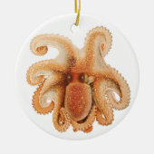  octopus salutii, zeewaterdieren keramisch ornament (Voorkant)