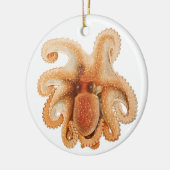  octopus salutii, zeewaterdieren keramisch ornament (Links)