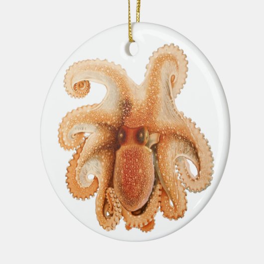  octopus salutii, zeewaterdieren keramisch ornament (Links)