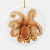  octopus salutii, zeewaterdieren keramisch ornament (Achterkant)