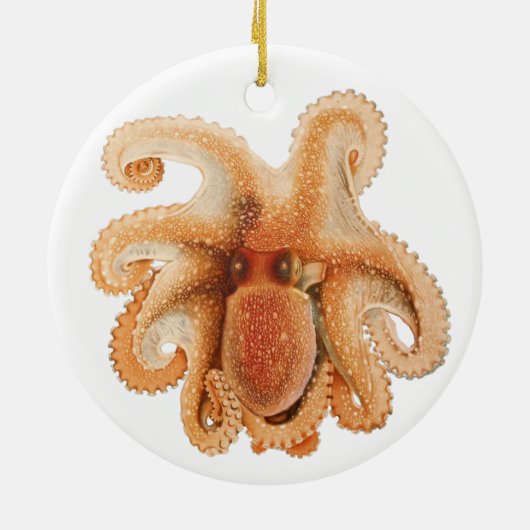  octopus salutii, zeewaterdieren keramisch ornament (Achterkant)