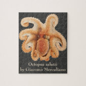  octopus salutii, zeewaterdieren legpuzzel (Verticaal)
