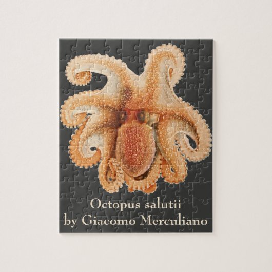 octopus salutii, zeewaterdieren legpuzzel (Verticaal)