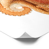 octopus salutii, zeewaterdieren poster (Hoek)