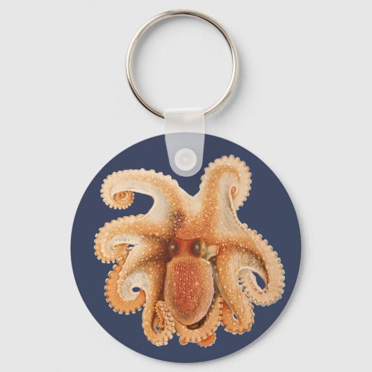  octopus salutii, zeewaterdieren sleutelhanger (Achterkant)
