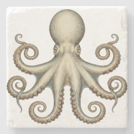 Octopus scientific diagram unique artwork retro  stenen onderzetter