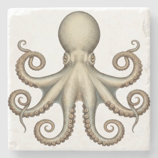 Octopus scientific diagram unique artwork retro  stenen onderzetter (Voorkant)