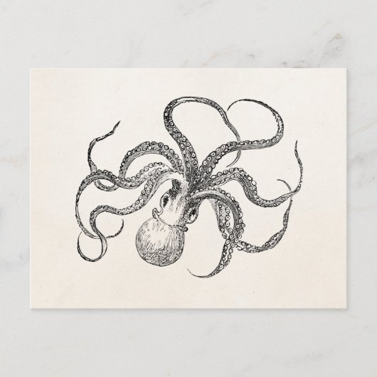  Octopus-Sjabloon over Antiek papier Briefkaart (Voorkant)