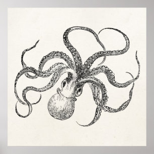  Octopus-Sjabloon over Antiek papier Poster
