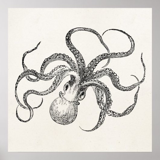 Octopus-Sjabloon over Antiek papier Poster (Voorkant)