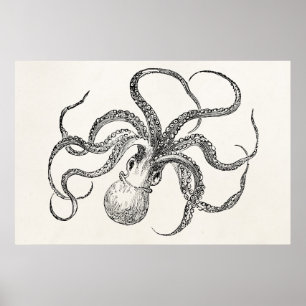  Octopus-Sjabloon over Antiek papier Poster