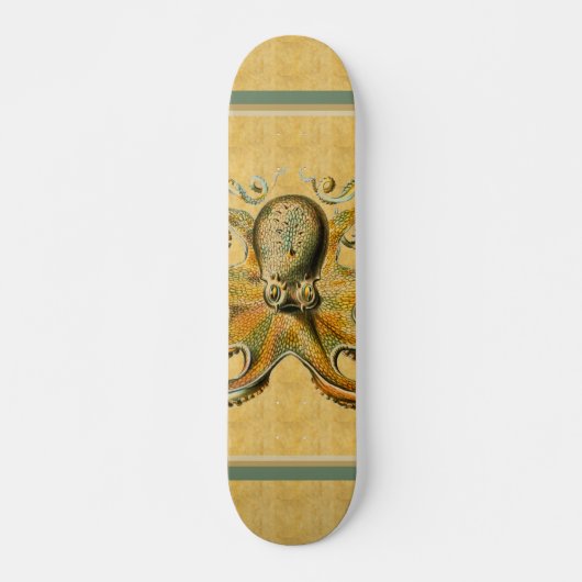 Octopus Skateboard (Voorkant)