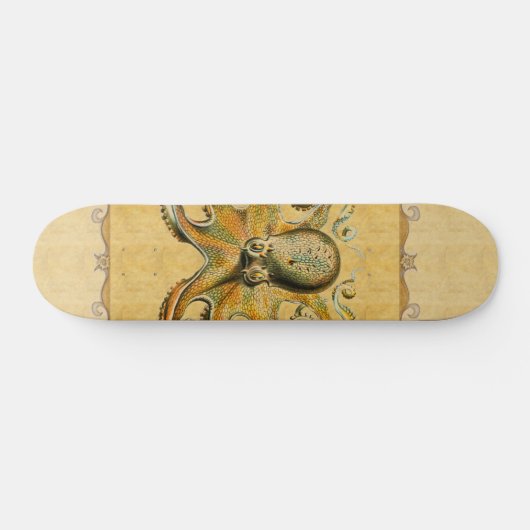 Octopus Skateboard (Horizontaal)