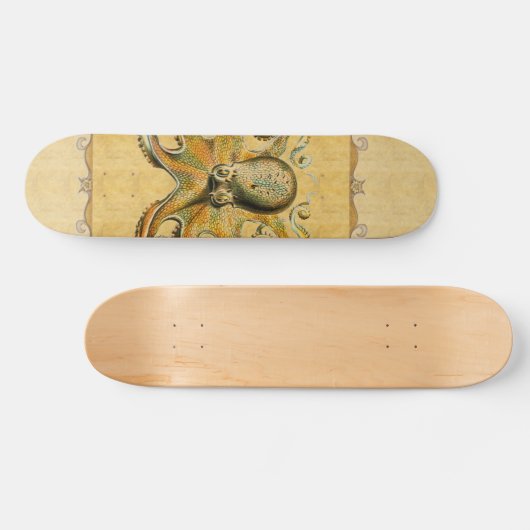 Octopus Skateboard (Horizontaal)