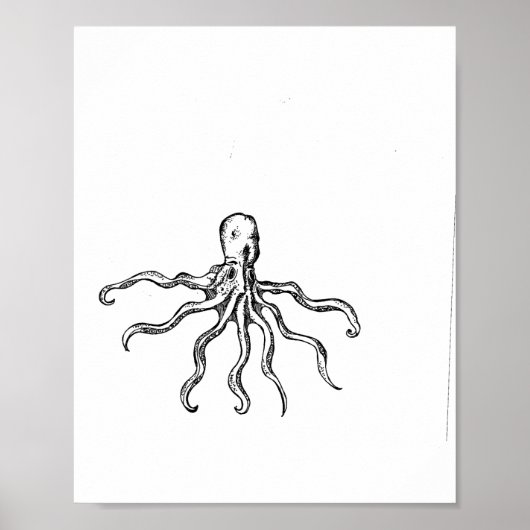 Octopus sketch Print (Voorkant)