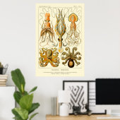 Octopus & Squid Art Poster (Thuiskantoor)
