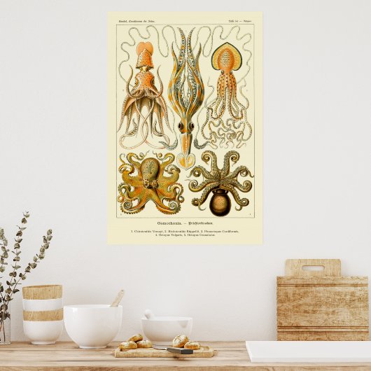 Octopus & Squid Art Poster (Keuken)
