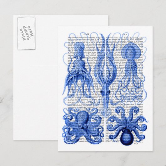 Octopus & Squid Blue Briefkaart (Voorkant / Achterkant)