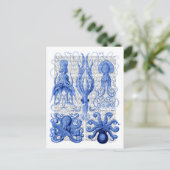 Octopus & Squid Blue Briefkaart (Staand voorkant)