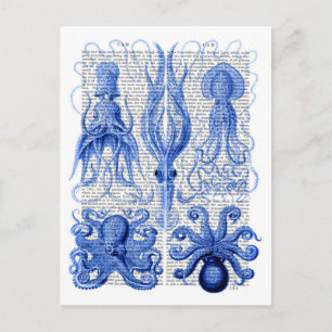 Octopus & Squid Blue Briefkaart
