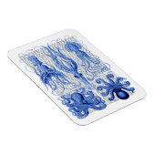 Octopus & Squid Blue Magneet (Rechterzijde)
