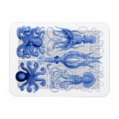 Octopus & Squid Blue Magneet (Horizontaal)