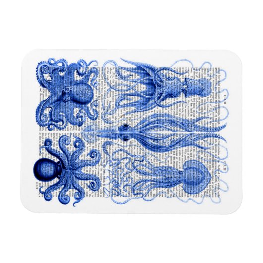 Octopus & Squid Blue Magneet (Horizontaal)