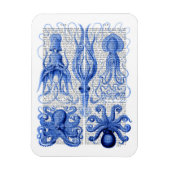 Octopus & Squid Blue Magneet (Verticaal)