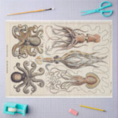 Octopus Squid Gamochonia Decoupage tissuepapier (Craft)