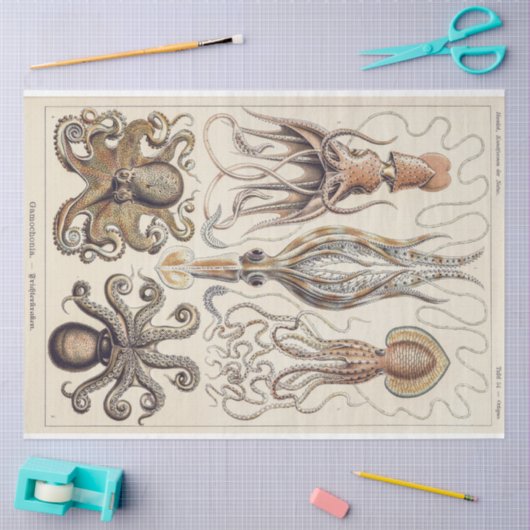 Octopus Squid Gamochonia Decoupage tissuepapier (Craft)